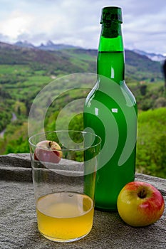 Natural Asturian cider made fromÂ fermented apples in green bottle and view Picos de Europa mountains on background, Spain